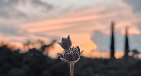 vasilis-bouris-TmsJ3KVFAhQ-unsplash