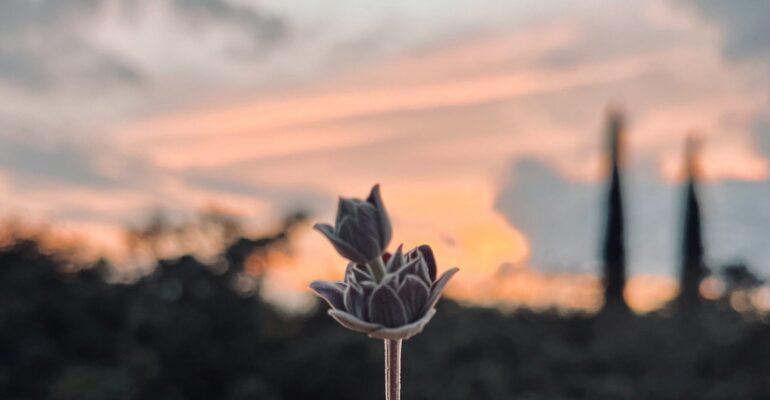 vasilis-bouris-TmsJ3KVFAhQ-unsplash