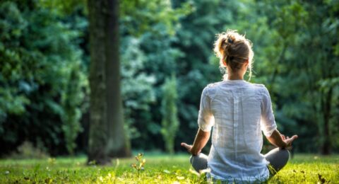 Rejuvenating Your Mind
