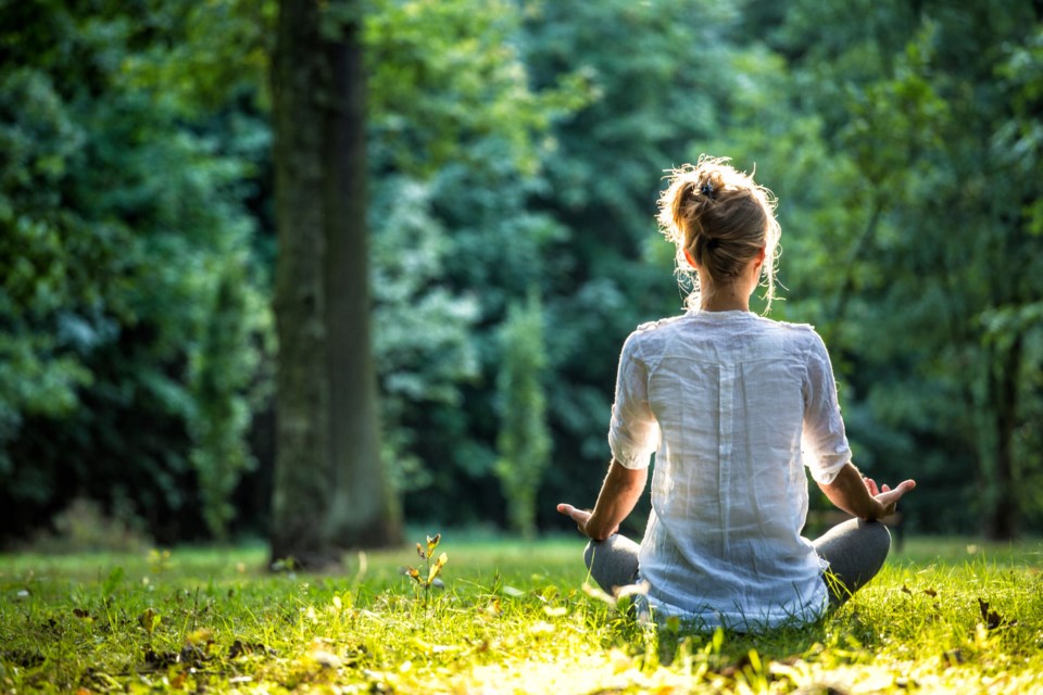 Rejuvenating Your Mind
